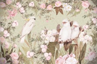 Cockatoo And Roses Opulent Garden wallpaper