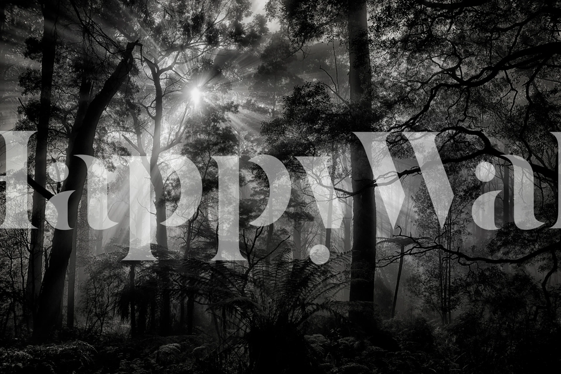 Primary forest wallpaper in a room