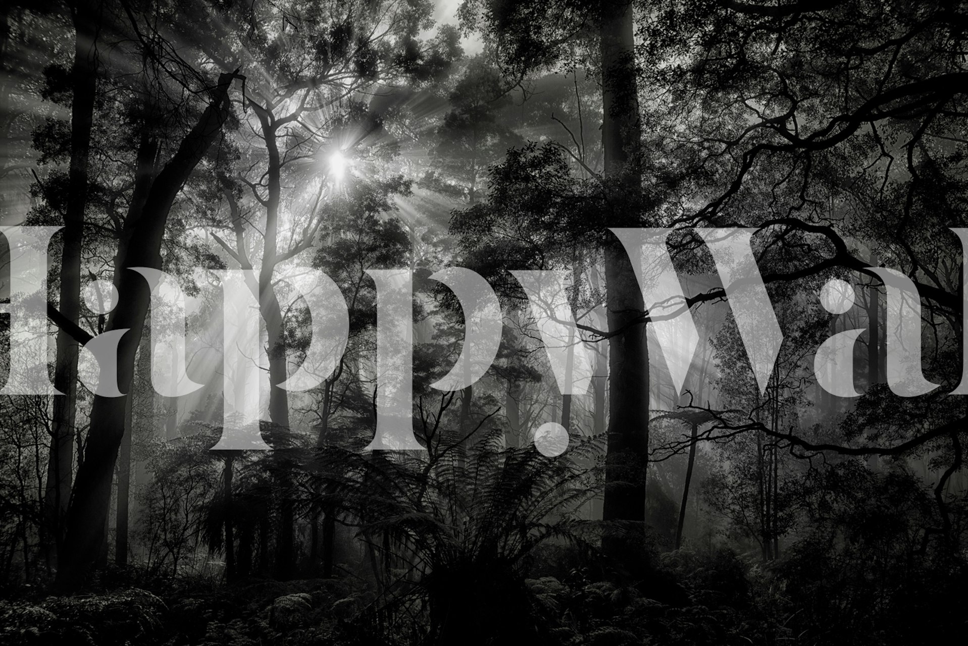 Primary forest wallpaper in a room