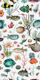 Oceania pattern in white