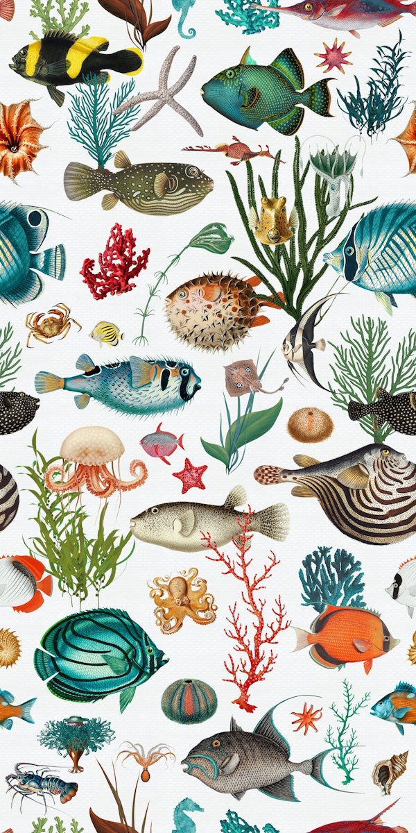 Oceania pattern in white