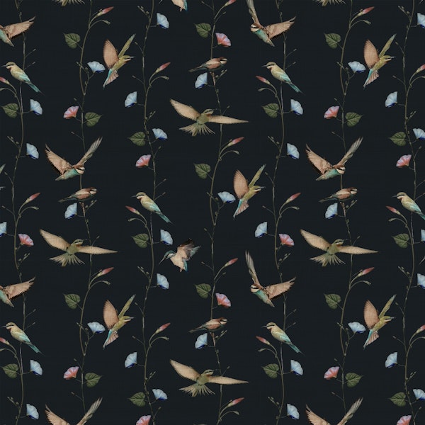 Birds on Dark Forest