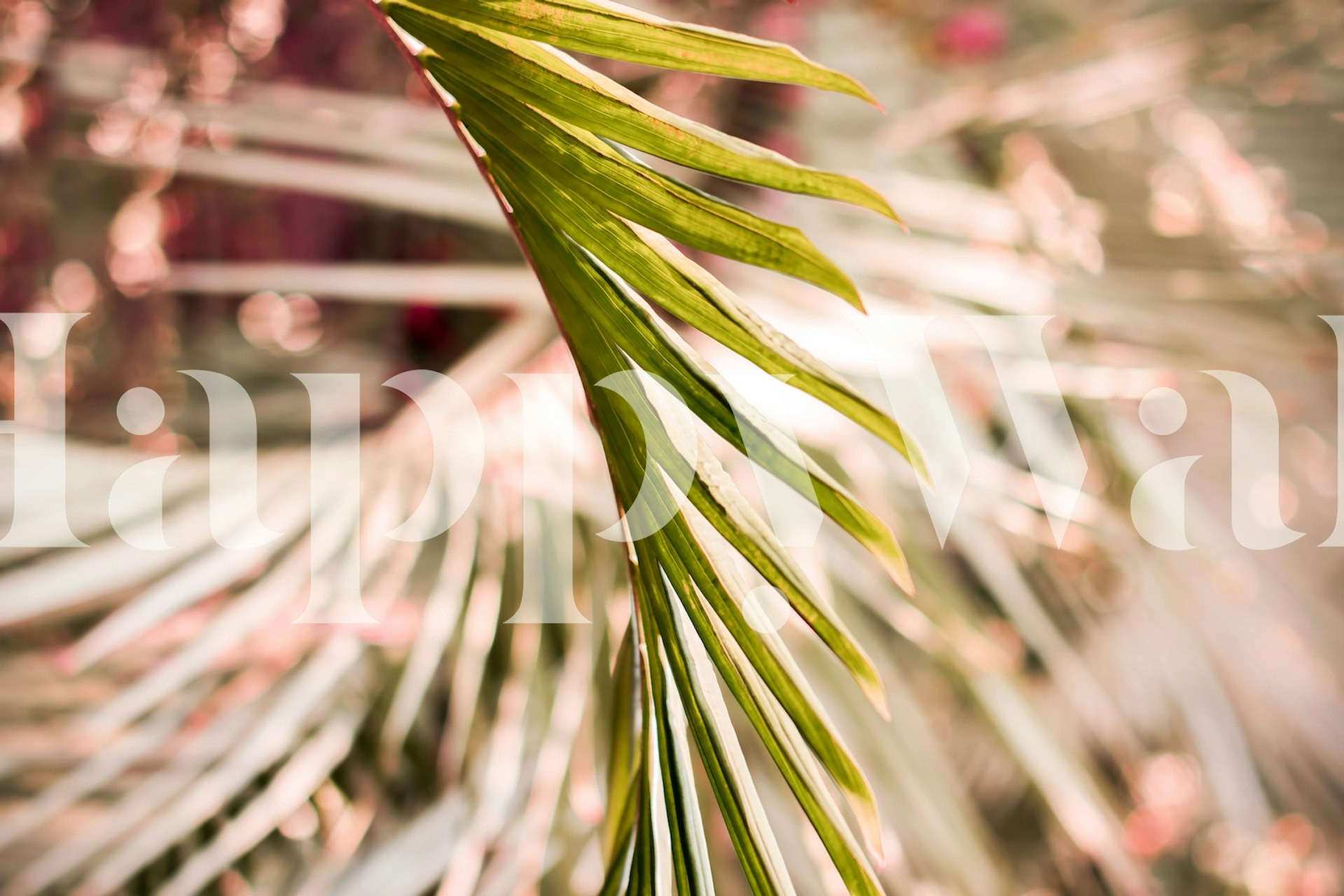 Tree Palm Leaf wallpaper in a room