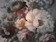 Dark Moody Baroque Flowers