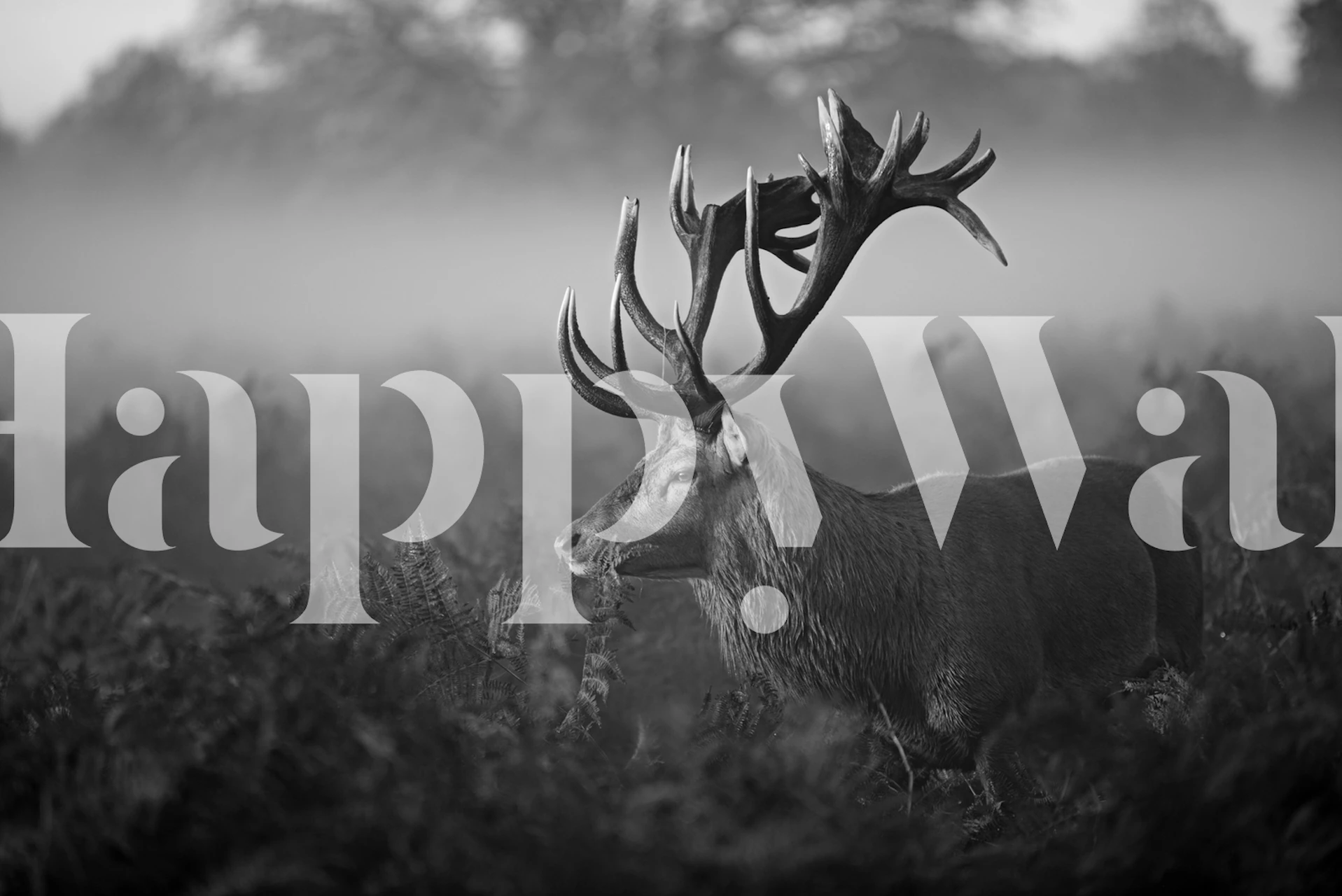 Sort/hvid vægmaleri med en kronhjort i et tåget skovlandskab