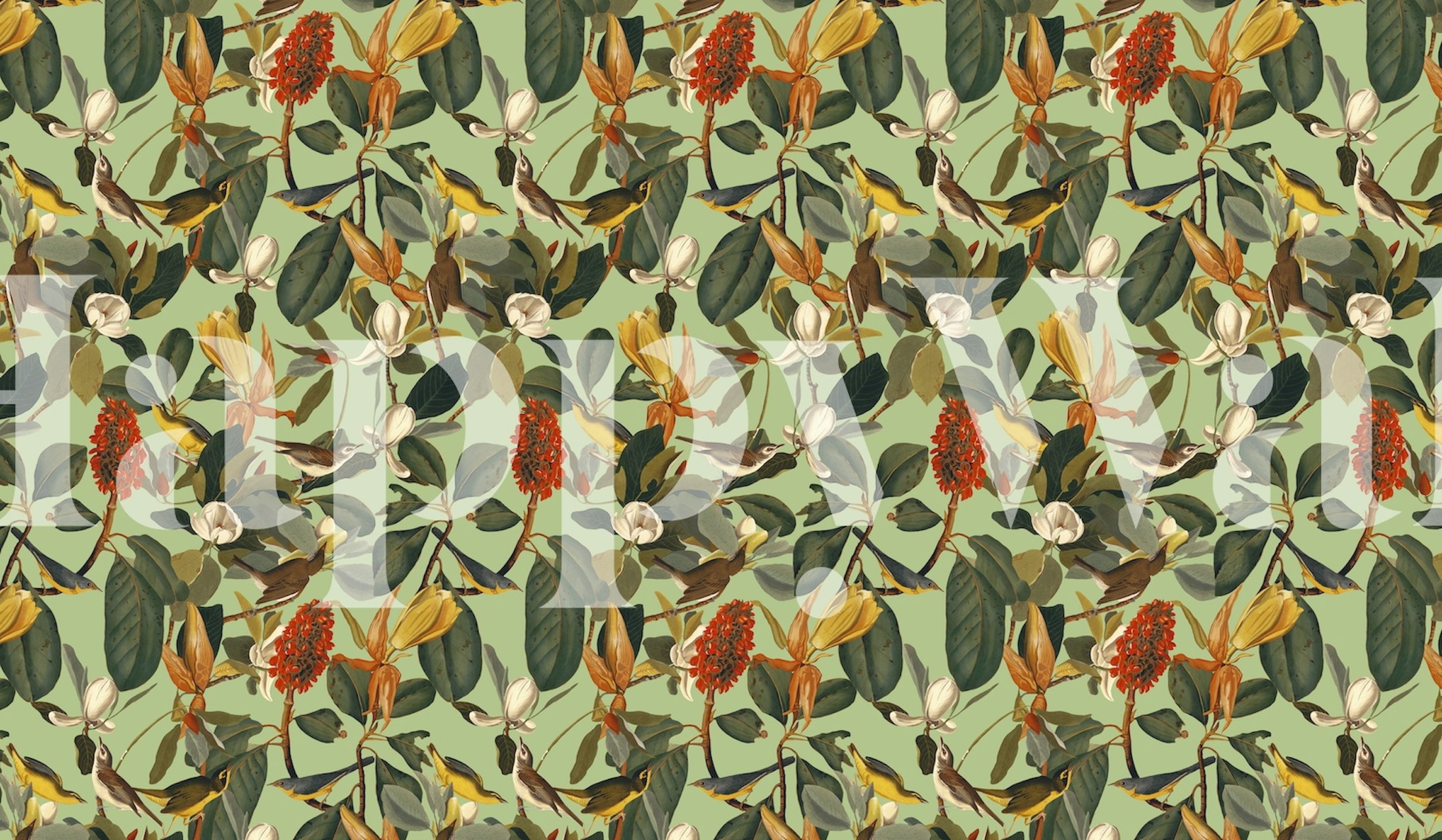 Ilustracyjna fototapeta przedstawiająca różne ptaki siedzące wśród zielonych liści o ziemistych odcieniach.