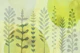 Whimsical Nature Shapes Lime Green