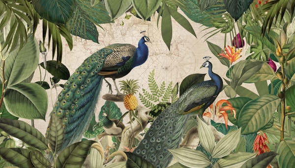Vintage Tropical Peacock Reverie