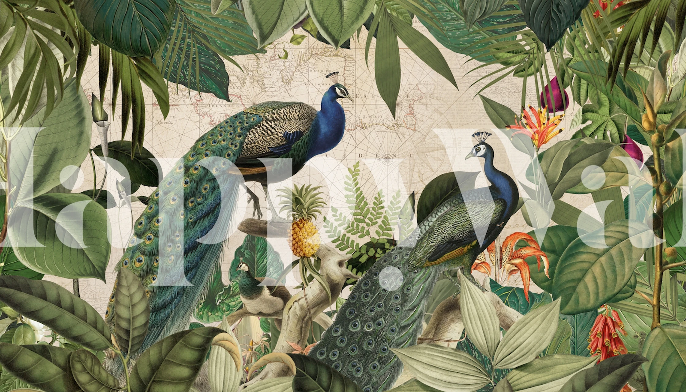 Tropical leaves and blue peacocks wallpaper