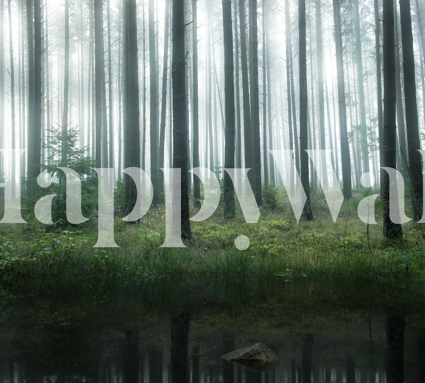 Lake περιτριγυρισμένο από δέντρα δάσους ταπετσαρία