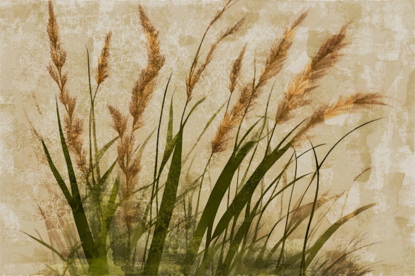 Japan Grass on Neutral Brush Paint