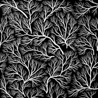 Frozen Branches 1 Black and White carta da parati