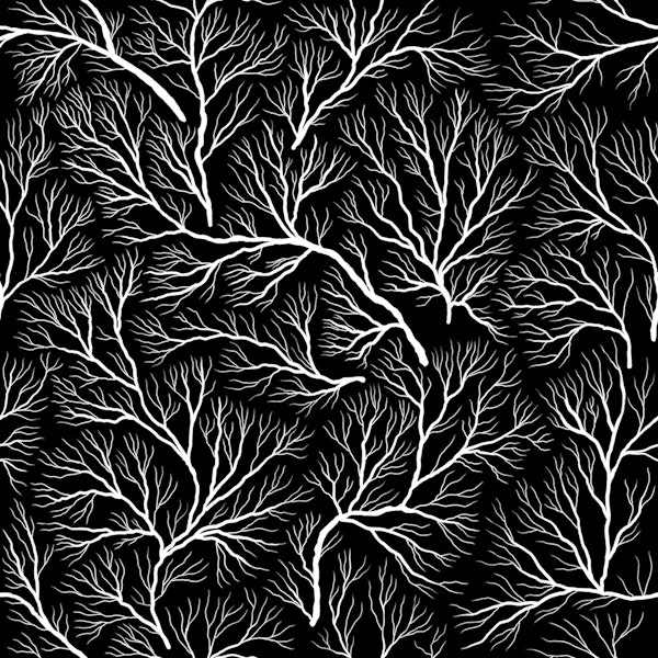 Frozen Branches 1 Black and White