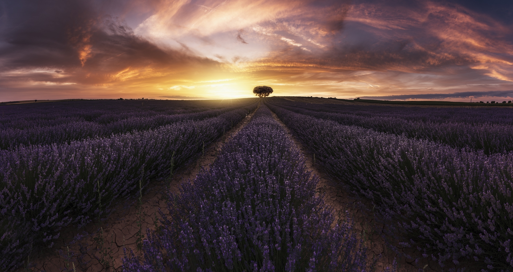 Lavender Sunset Wallpaper - Beautiful Scenery Wallpapers | Happywall