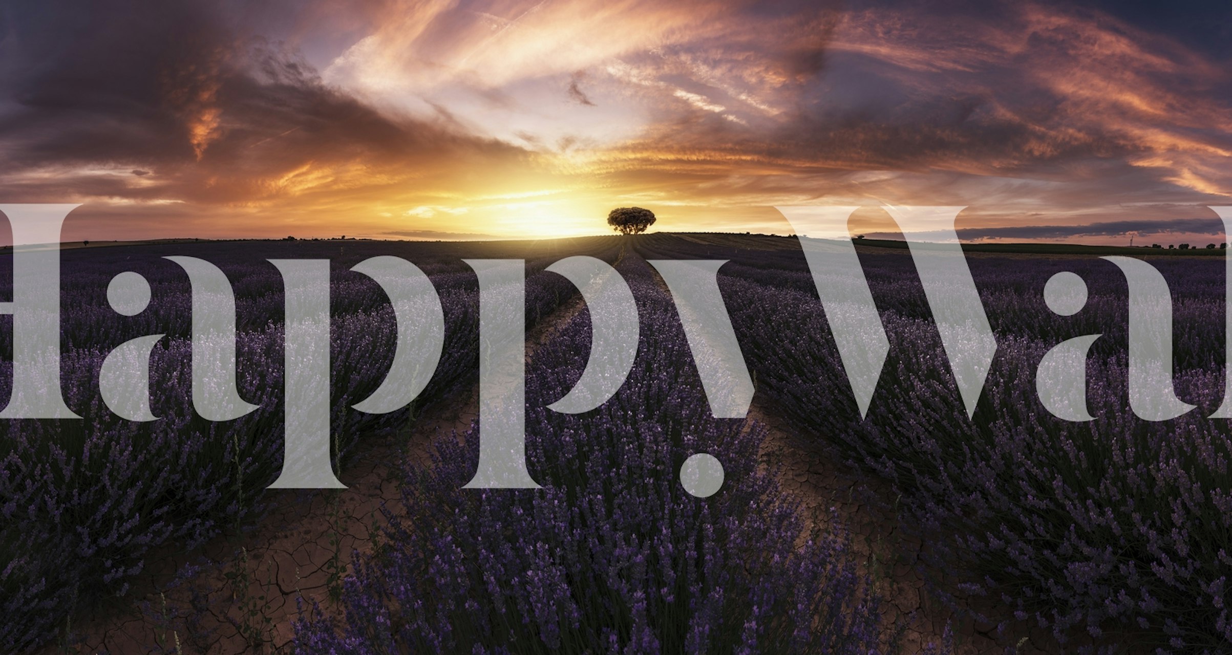 Ταπετσαρία Lavender sunset σε ένα δωμάτιο