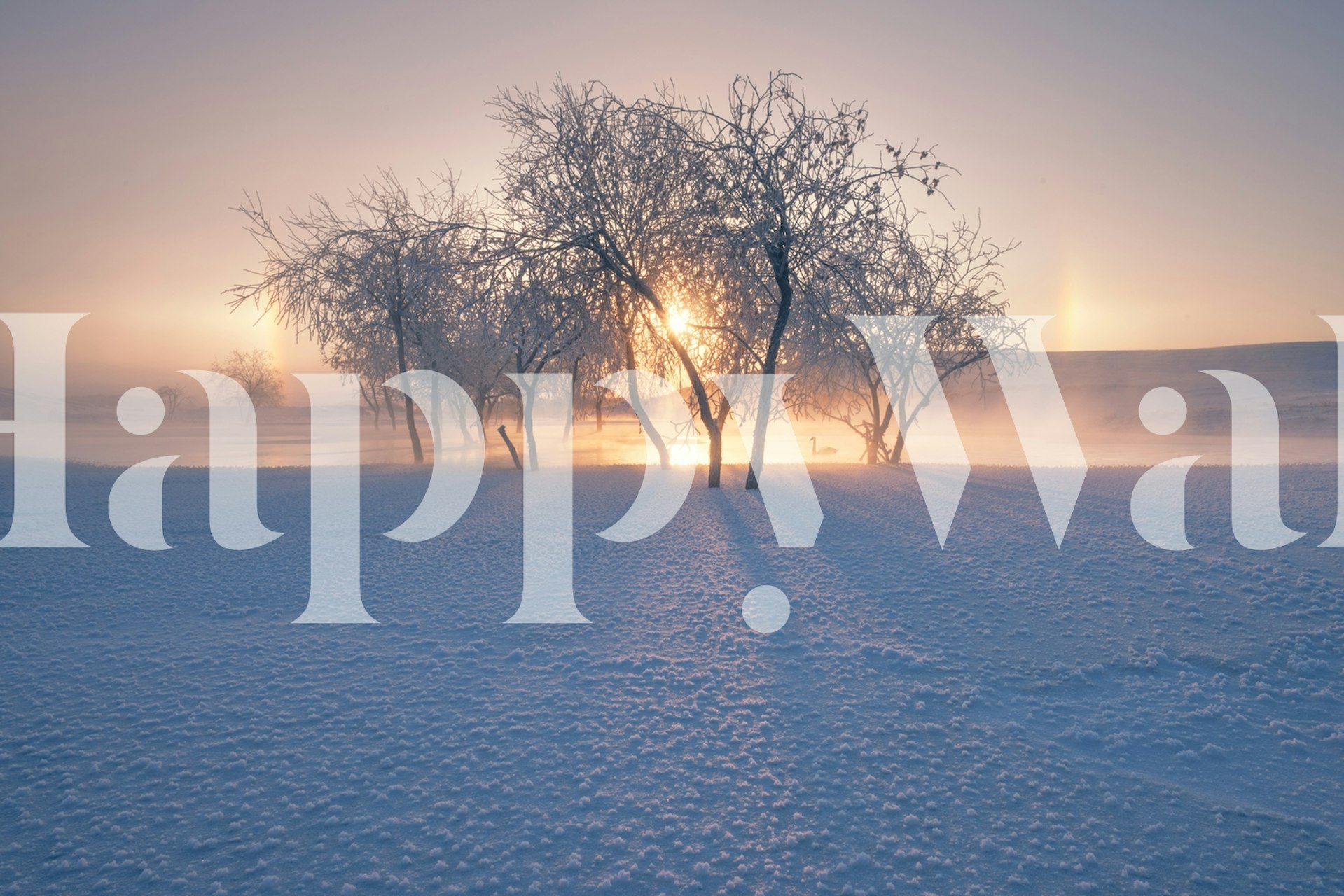 Swan Lake wallpaper in a serene setting