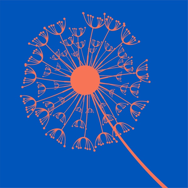 Azure blue orange dandelion