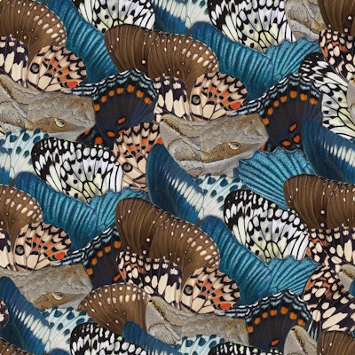 Pattern