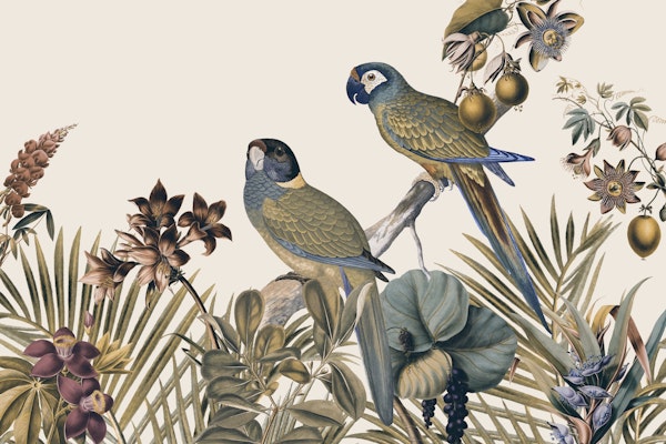 Jungle Vibes Parrots Island