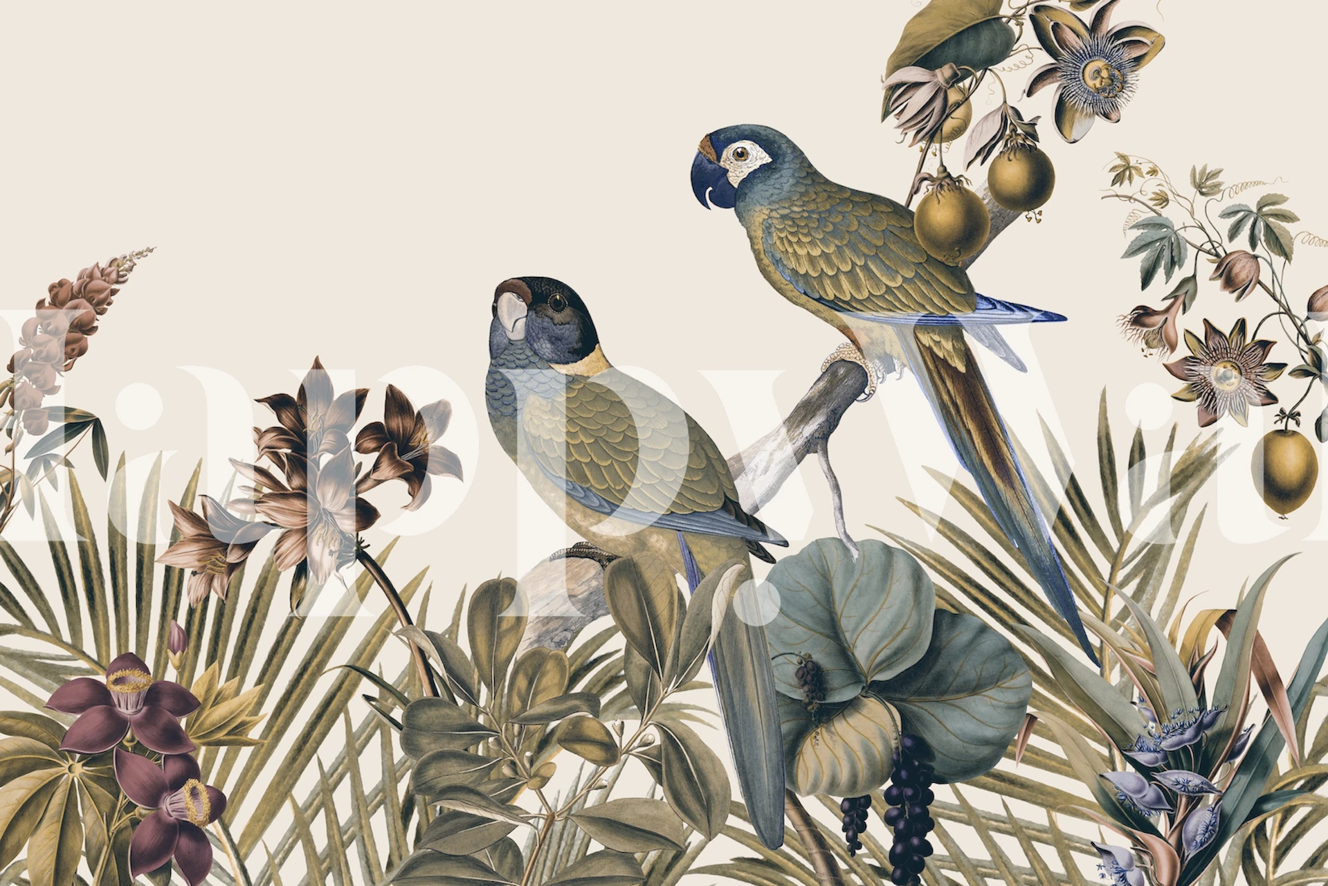 Tropical parrots and botanical elements in muted tones wallpaper
