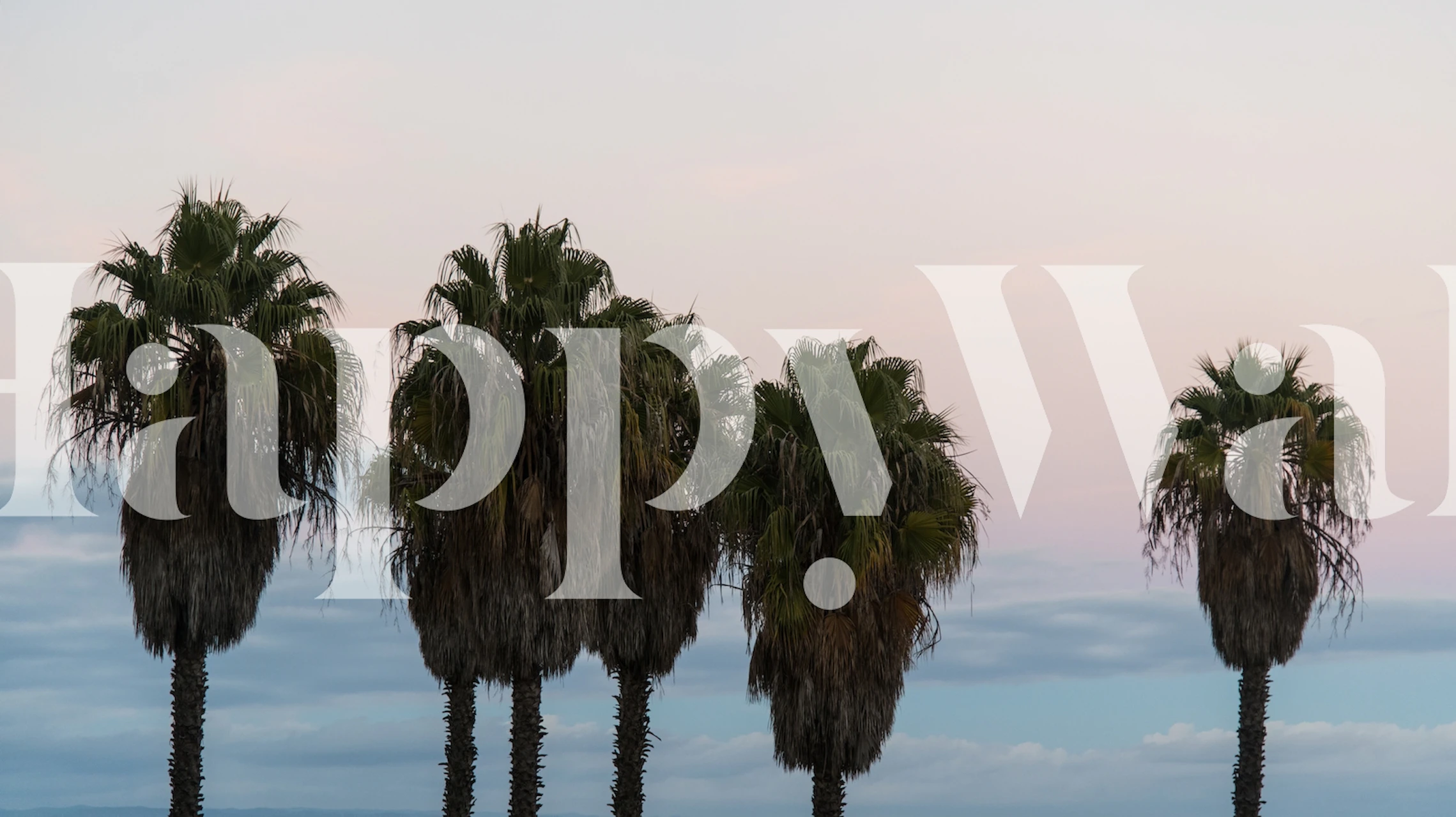 Palm trees silhouetted against a pastel sunset sky wallpaper