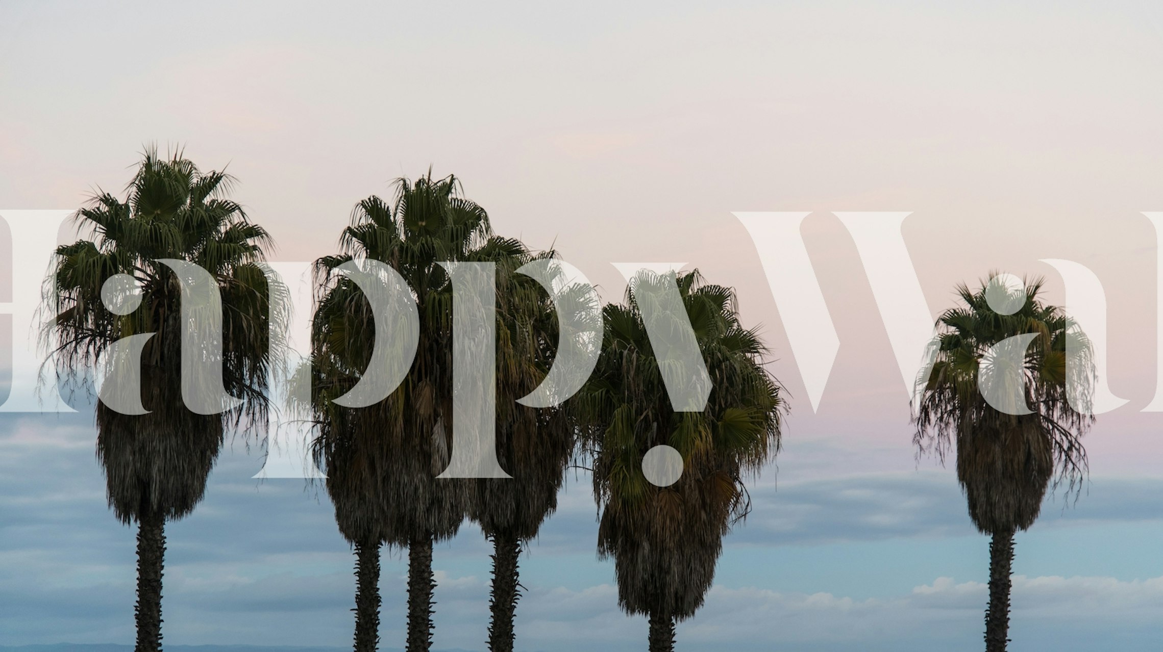 Tapeta Sunset Palm Trees Dream 1 w pokoju