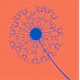 Rust Orange navy blue dandelion