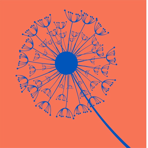 Rust Orange navy blue dandelion