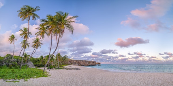 Serene Barbados Evening