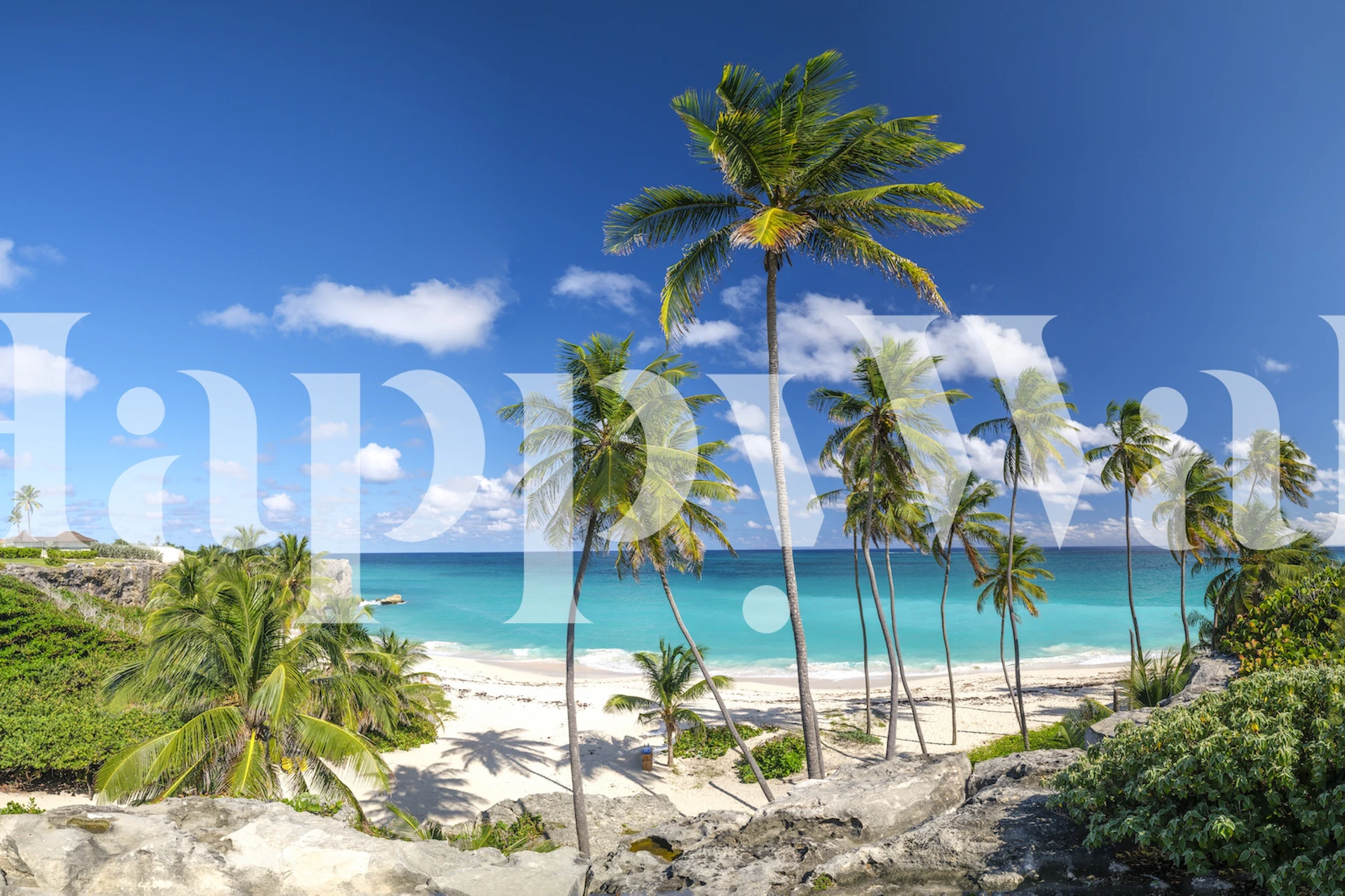 Tropical beach wall mural with palm trees and clear blue sea