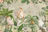 Nostalgic Cockatoo Jungle Adventure tapete