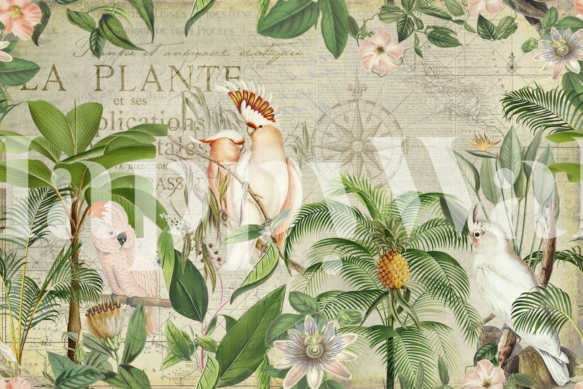 Nostalgic Cockatoo Jungle Adventure wallpaper design