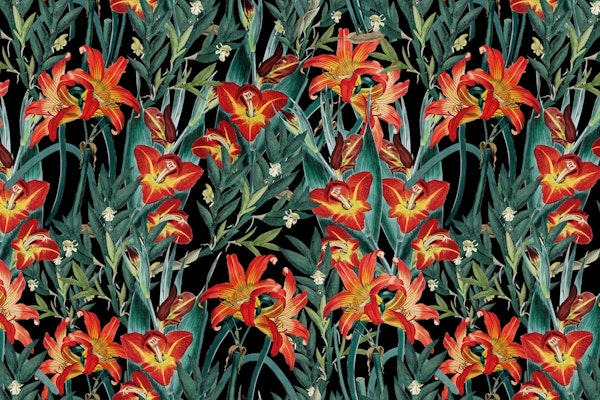 Botanical Night Garden