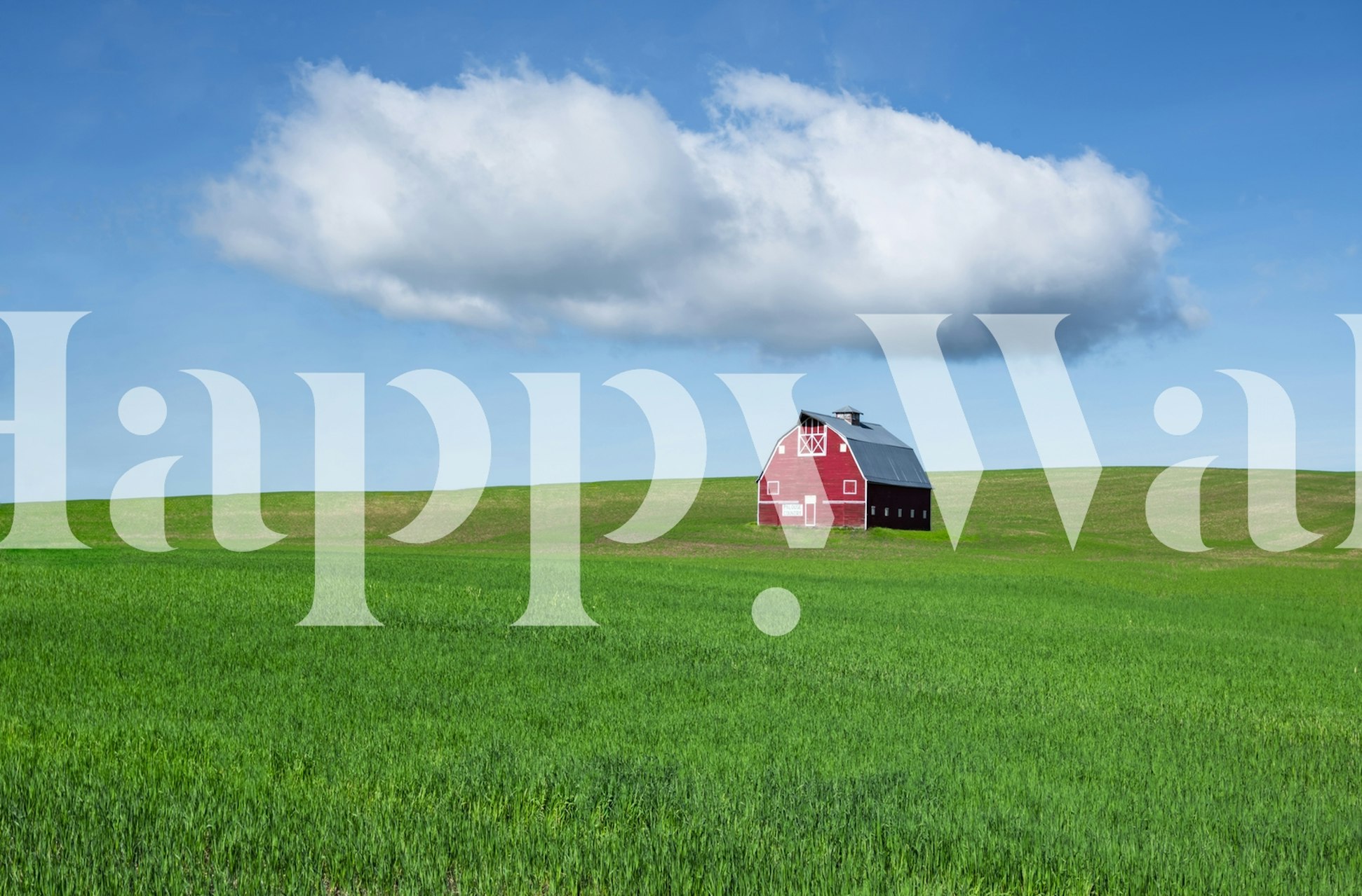 Fototapeta Osamělá červená stodola v zeleném poli pod jasnou modrou oblohou