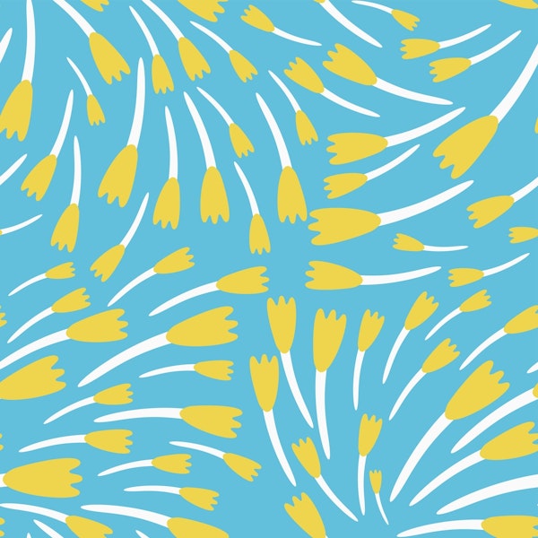 Sky blue yellow tulips