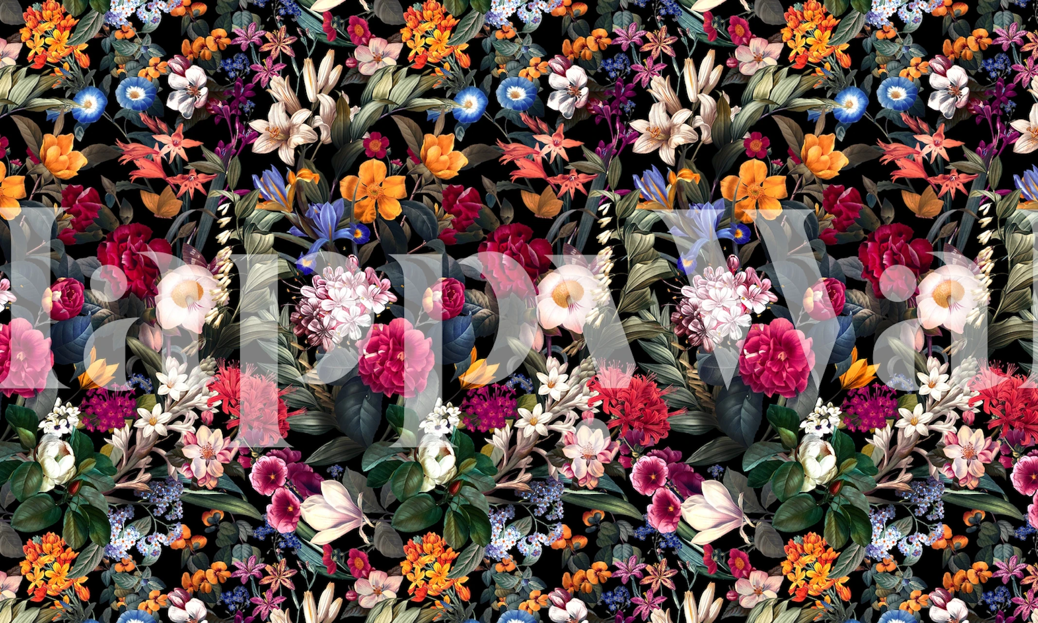 Colorful floral patterns in reds, oranges, and purples on a black background wallpaper