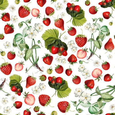 Pattern