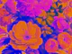 Retro Baroque Floral