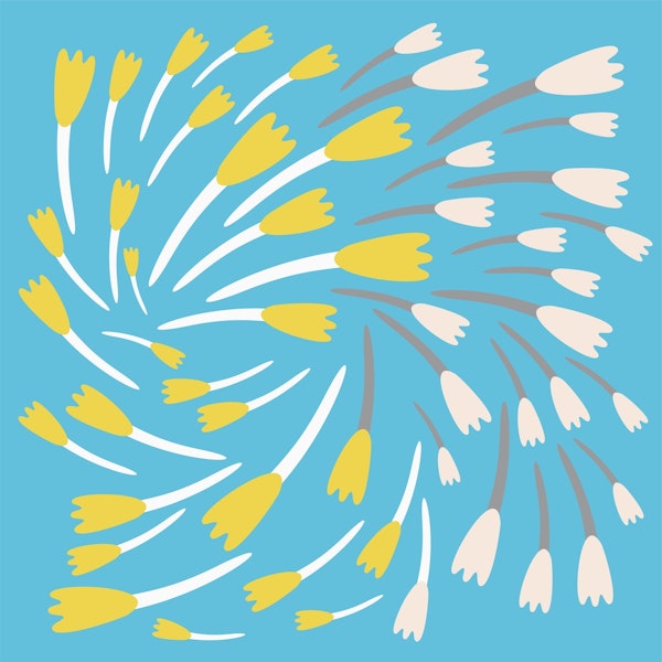 Baby Blue Floral Pattern Tulips