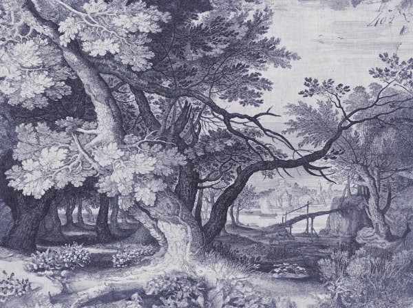 Tree etching landscape