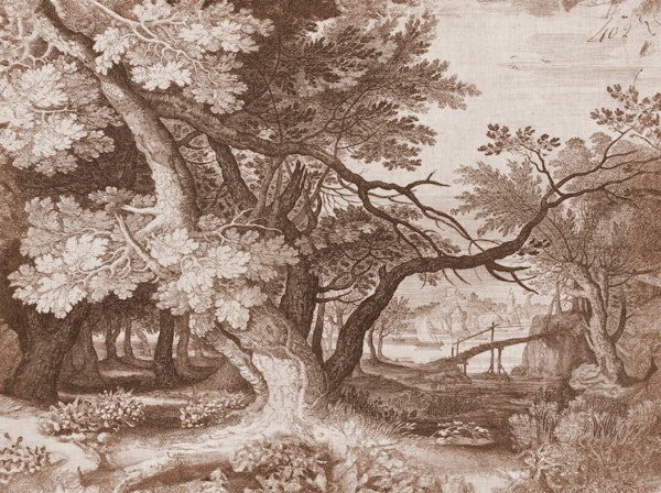 landscape etching tree