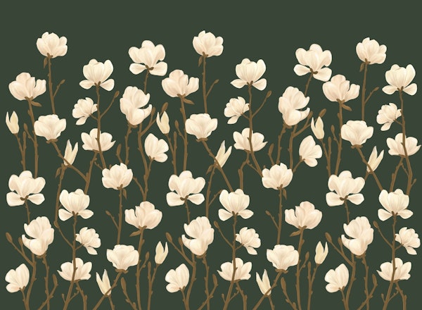 Magnolias