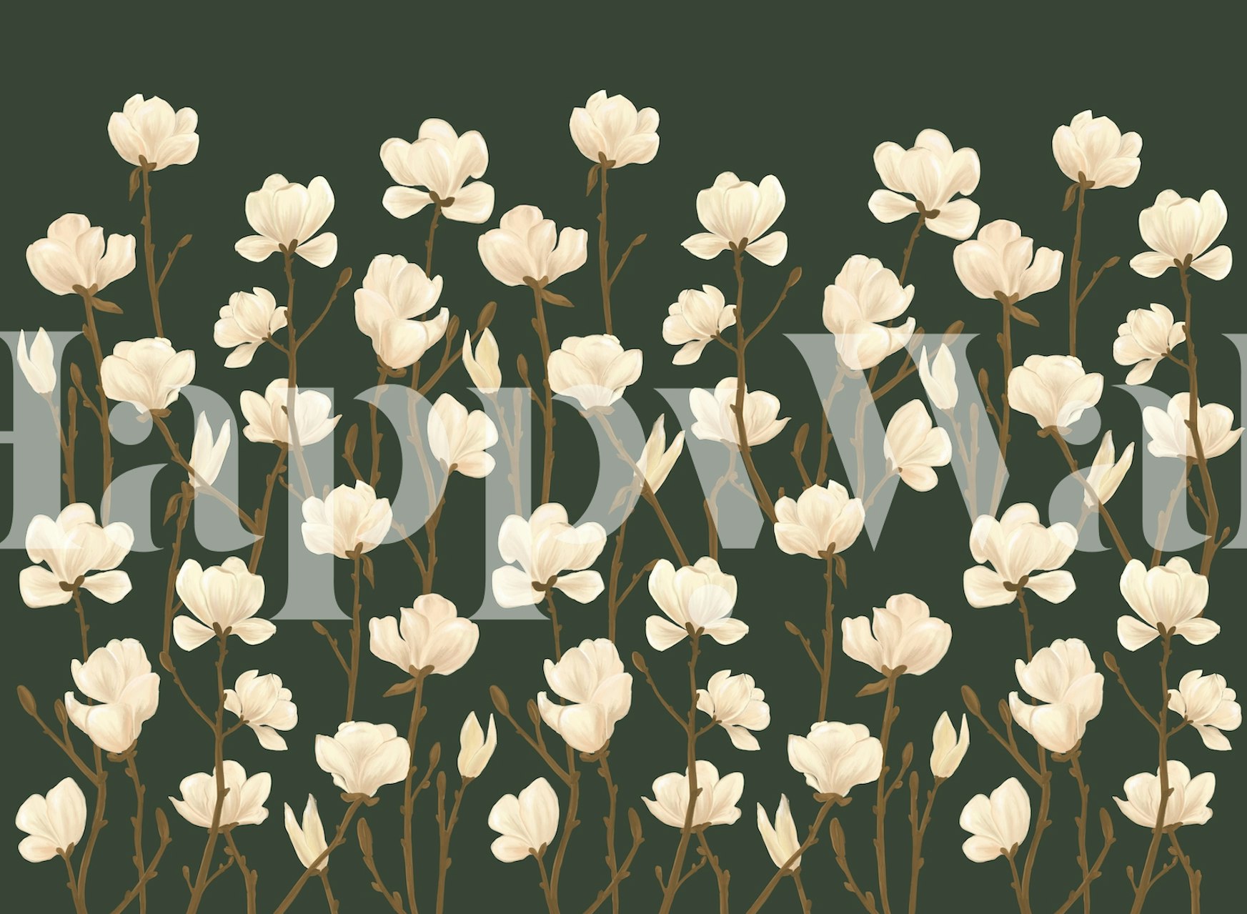 Magnolia flowers on green background wallpaper