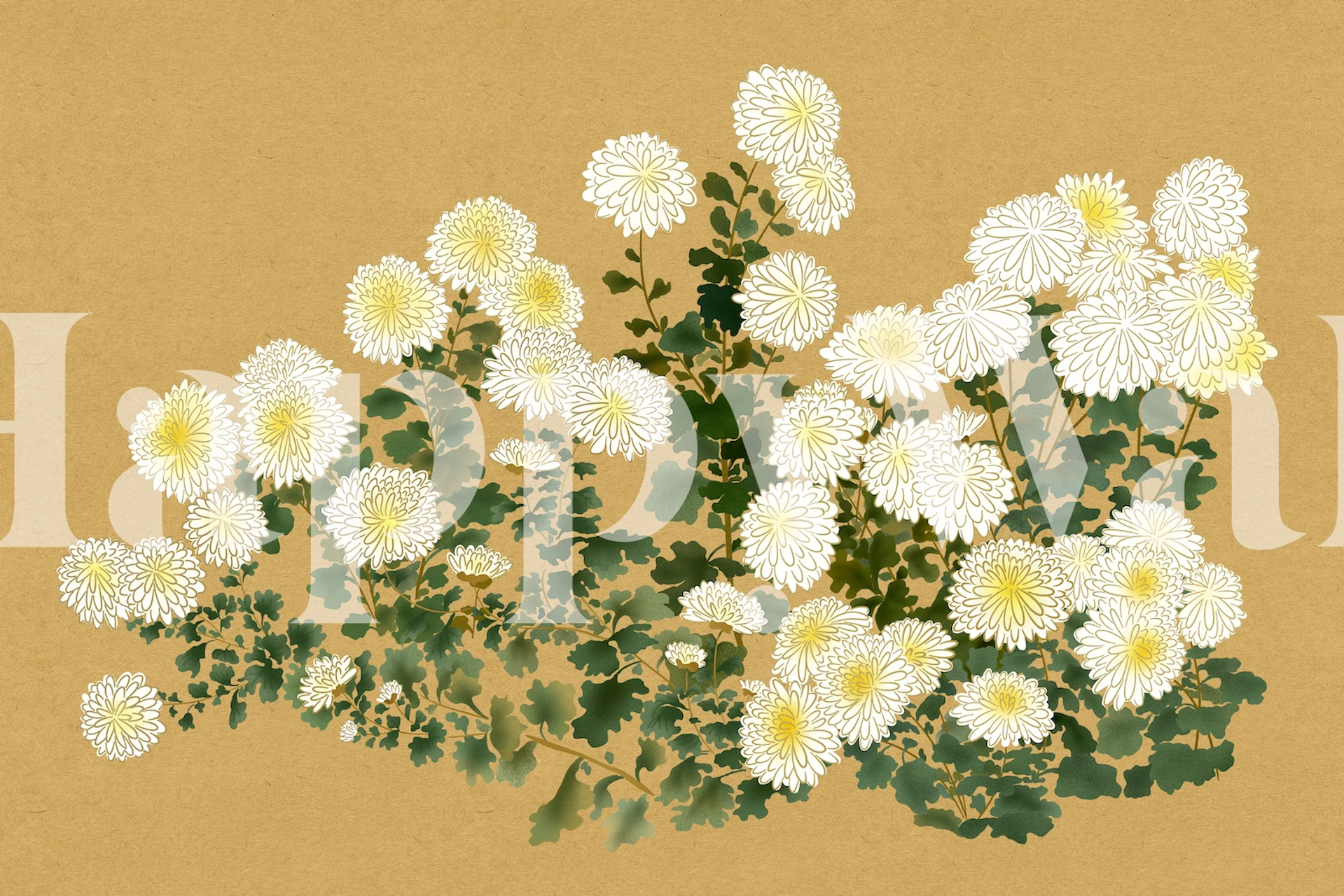 White chrysanthemum flowers with green leaves wallpaper