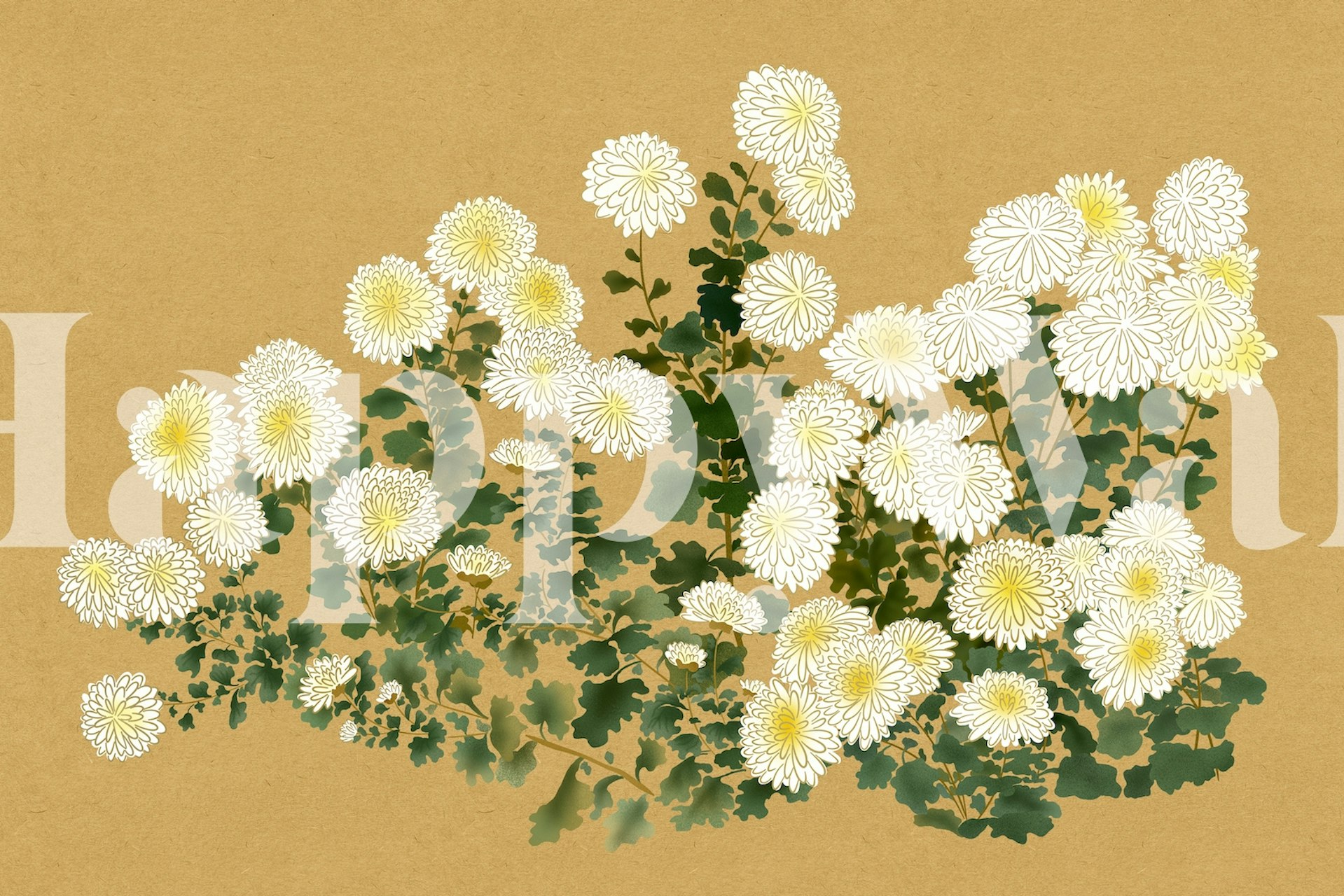 White chrysanthemum flowers with green leaves wallpaper