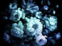 Antique Day Dream Flowers wallpaper