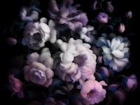 Soft Antique Day Dream Flowers wallpaper