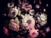 Soft Antique Day Dream Flowers tapete