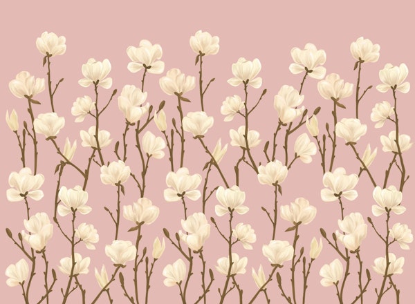 Magnolias Pink Petal