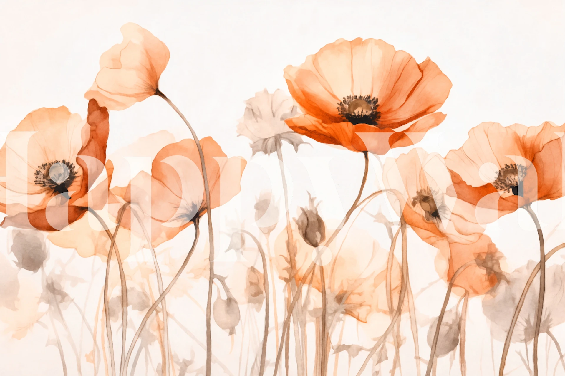 Peach poppies with a summer serenity theme wall mural